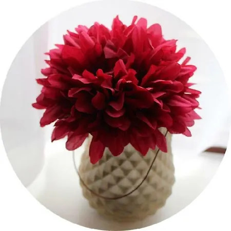 The At The Spout Kilcullen