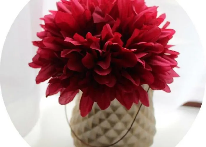 The At The Spout Kilcullen